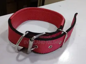 Medium Dogs Collars