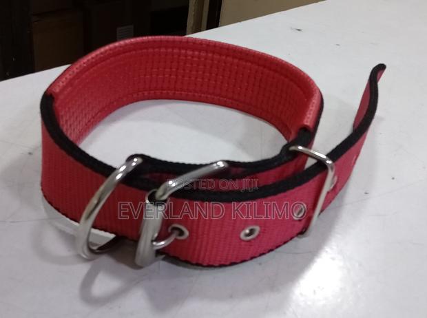 Medium Dogs Collars