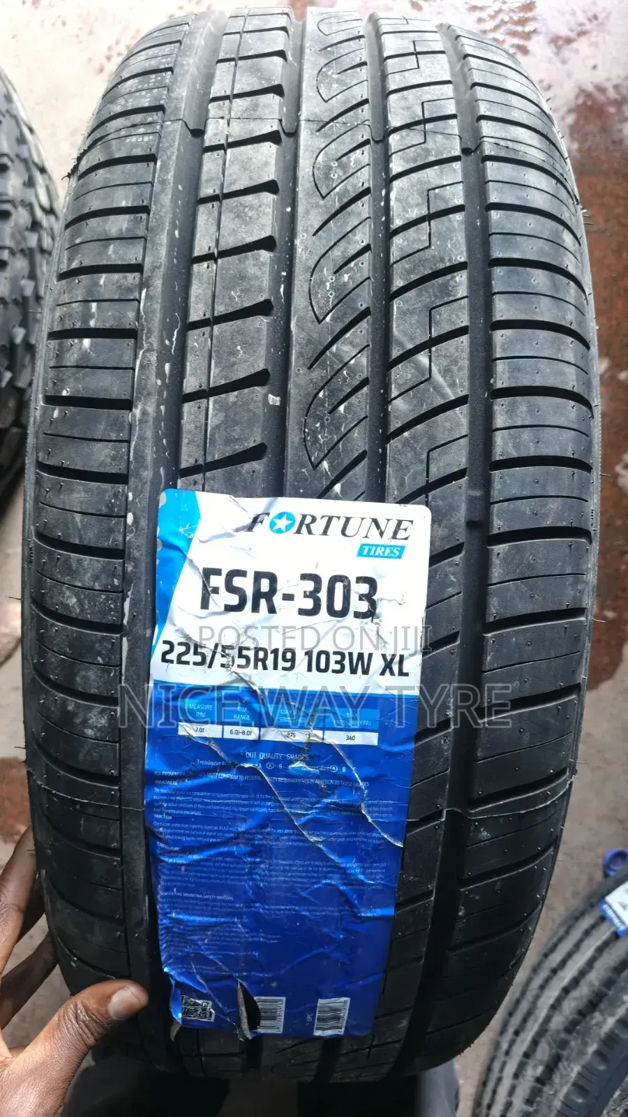 225/55r19 Fortune