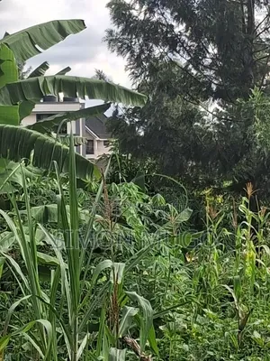 Mugumo Estate Kamiti Rd Prime Slightly Bigger Than 1/4 Ac Gated Court