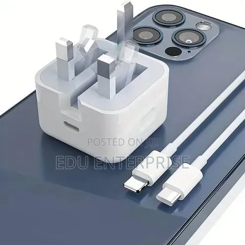 Original iPhone Charger 20wts