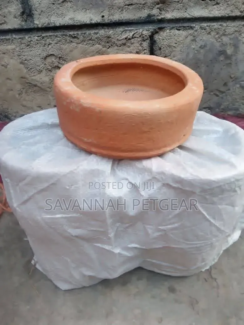 Clay Rabbit Pot Feeding Bowls Hardened in a Kiln for Durability