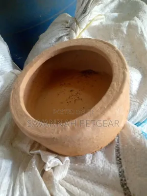 Clay Rabbit Pot Feeding Bowls Hardened in a Kiln for Durability