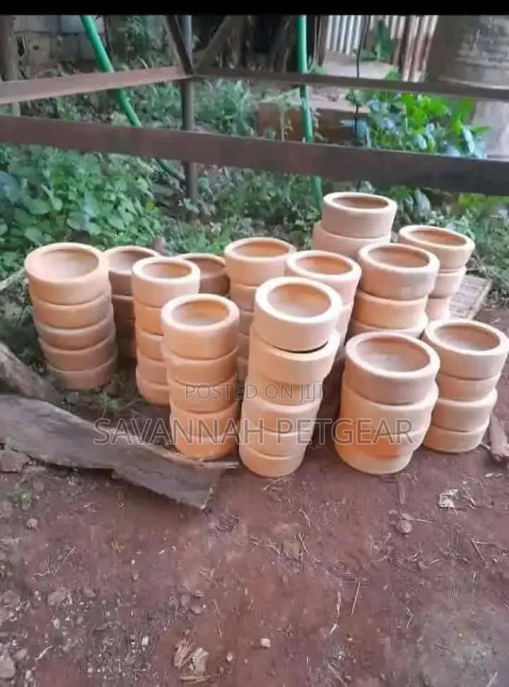 Clay Rabbit Pot Feeding Bowls Hardened in a Kiln for Durability