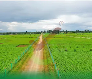 Nakuru Gated Estate Plots for Sale