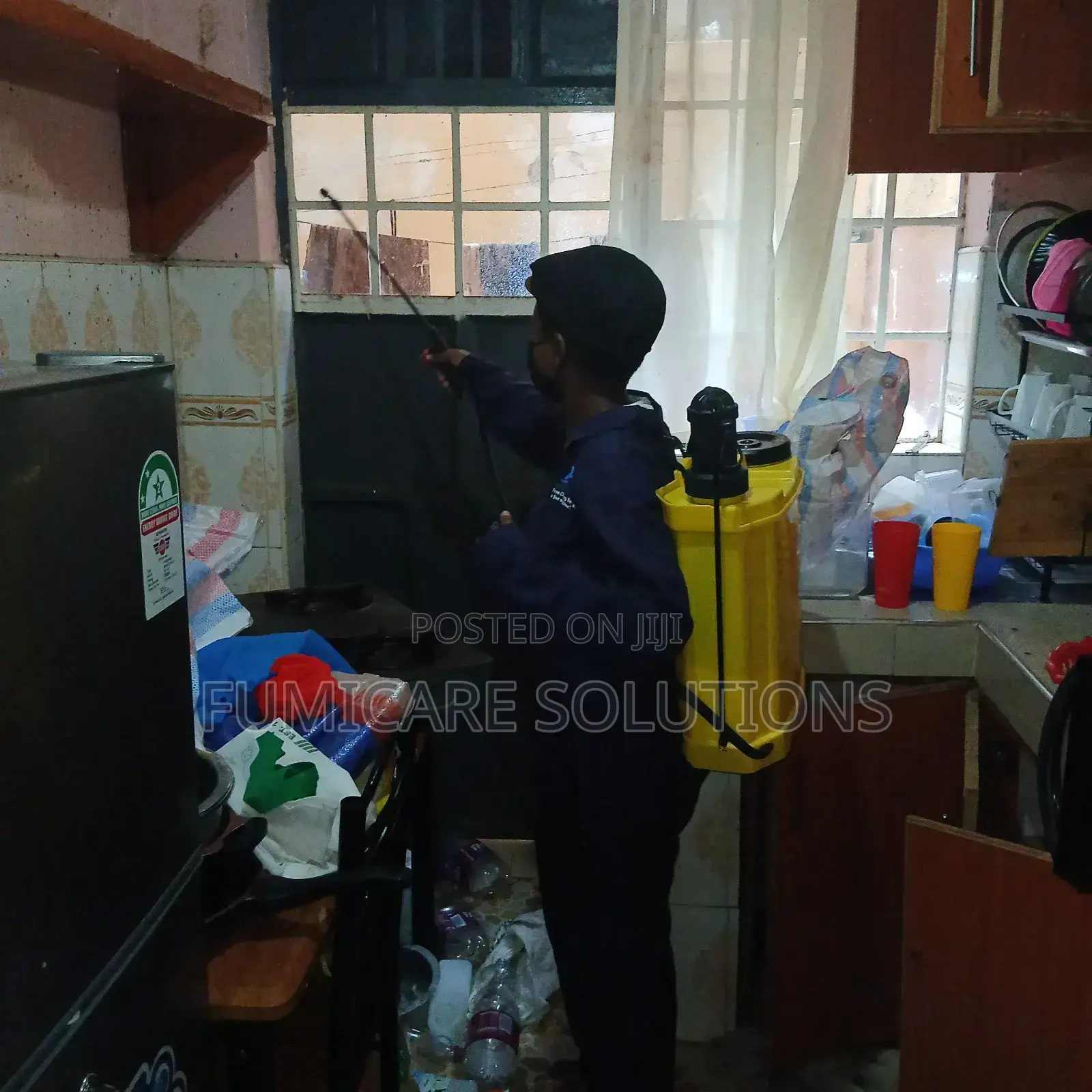 Fumigation of Roaches and Steaming of Bedbugeggs