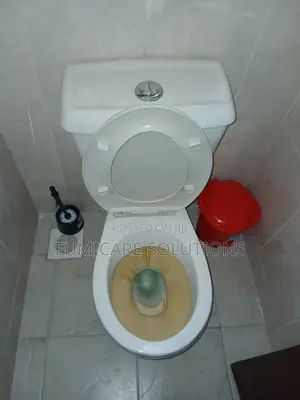 Fumigation of Roaches and Steaming of Bedbugeggs