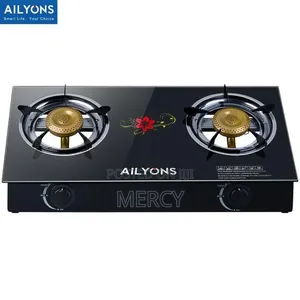 Ailyons 2-Burner Glass Gas Stove - Black Stainless Steel