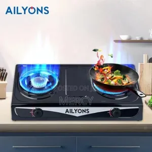 Ailyons Stainless Steel 2-Burner Gas Cooker