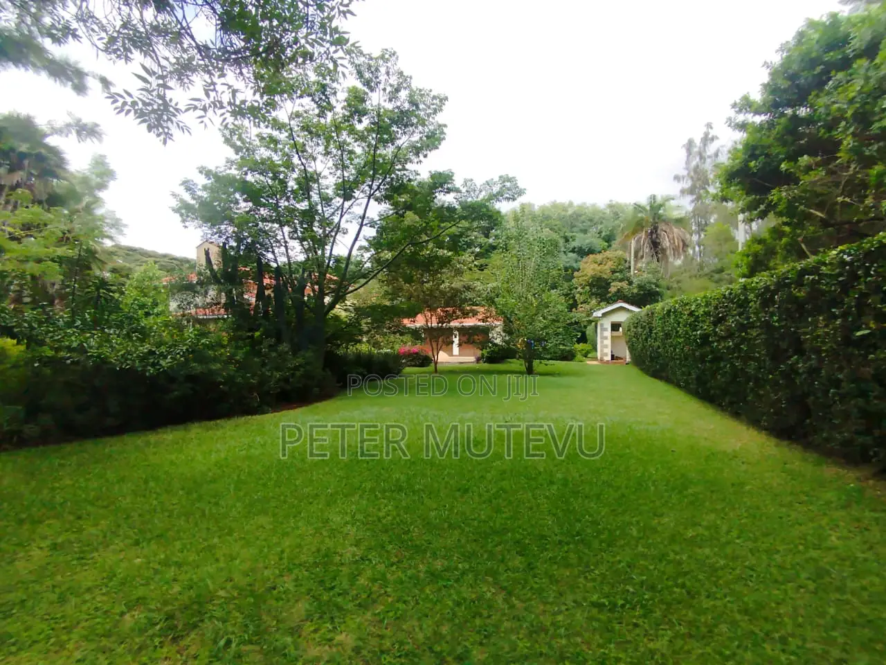 4bdrm House in Karen for rent