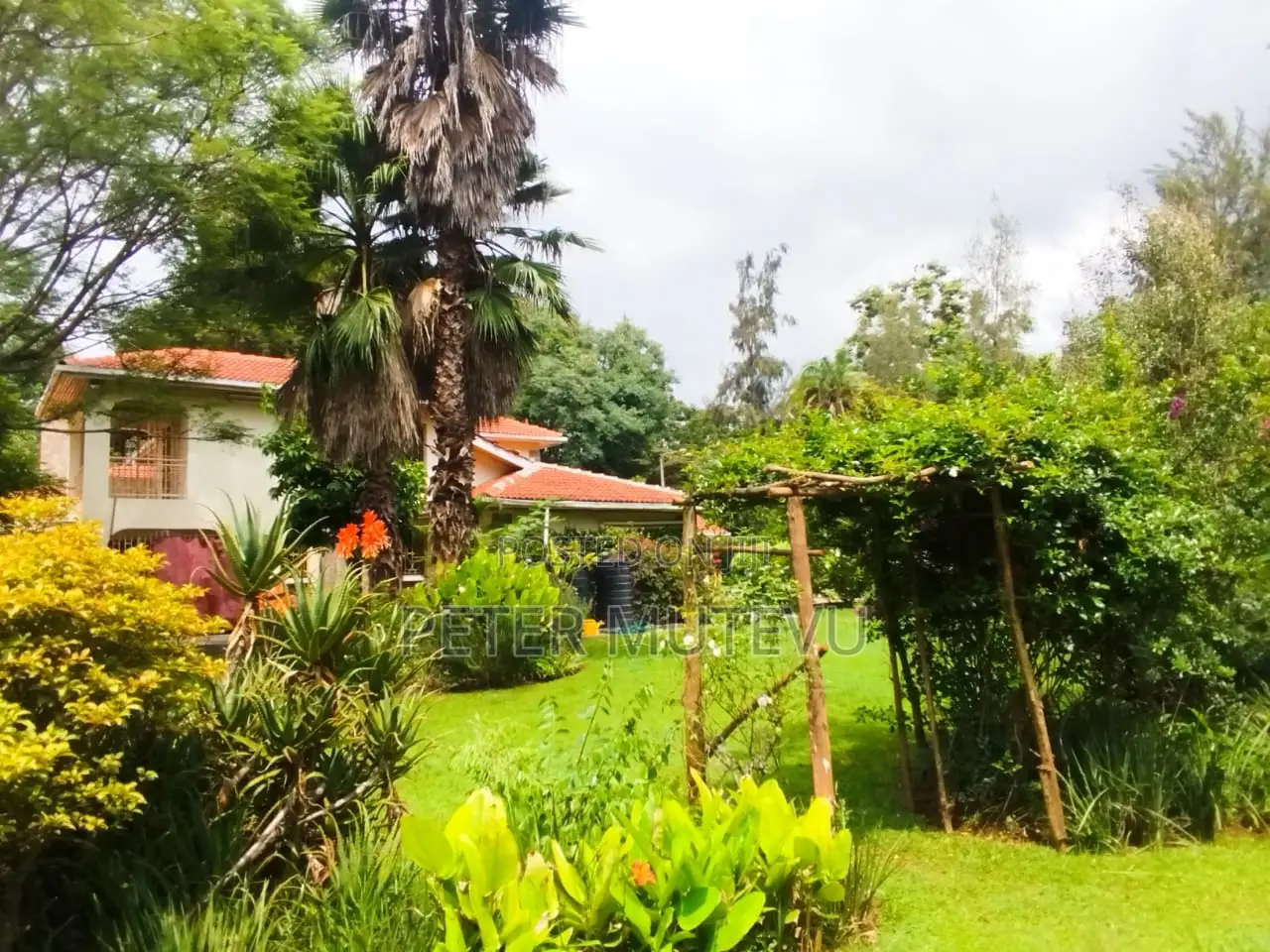 4bdrm House in Karen for rent