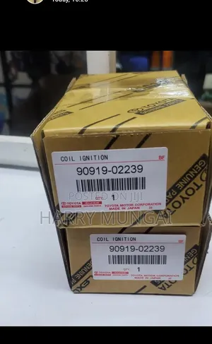 Ignition Coils/Shooting Coils