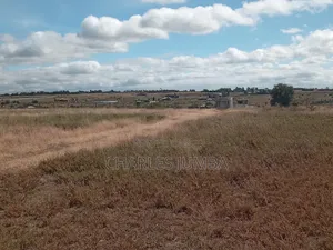 5 Acres in Kag