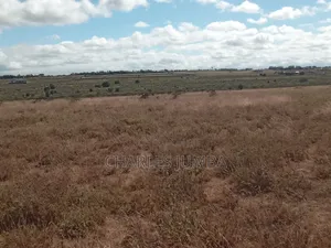 5 Acres in Kag