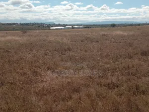 5 Acres in Kag