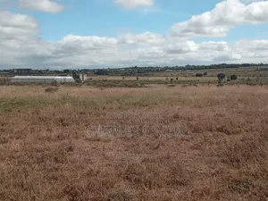 5 Acres in Kag