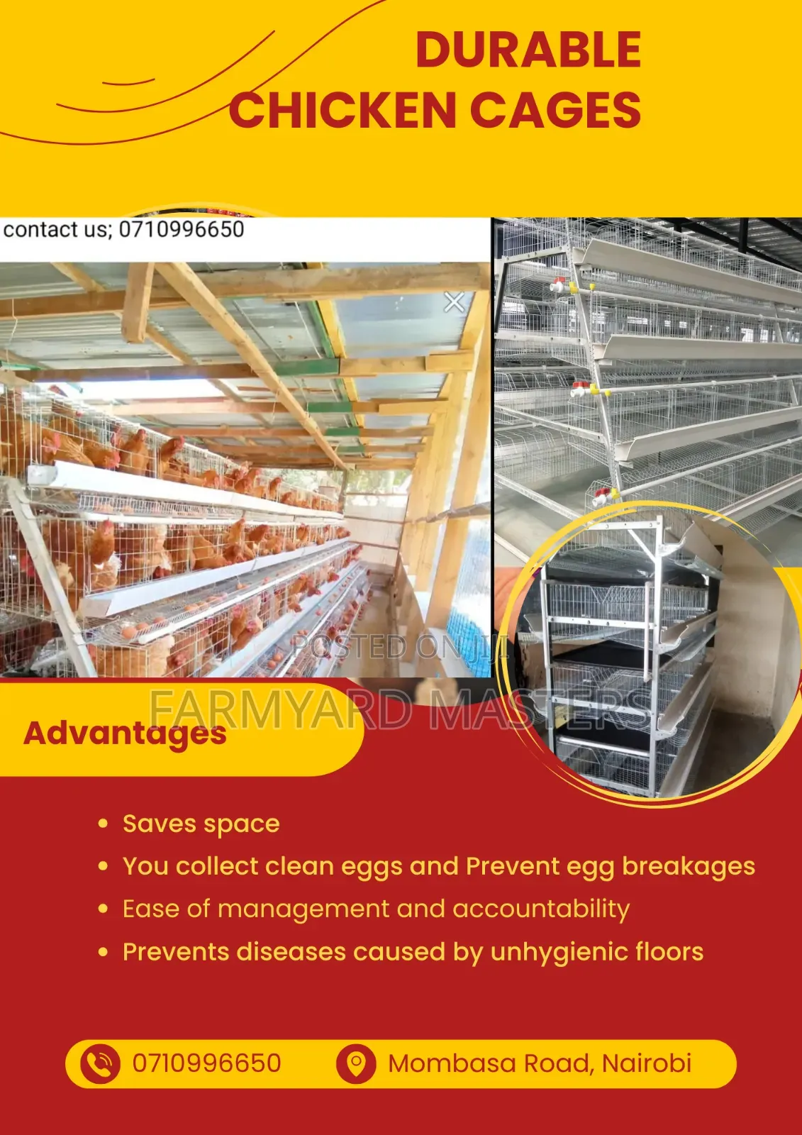 Chicken Cages