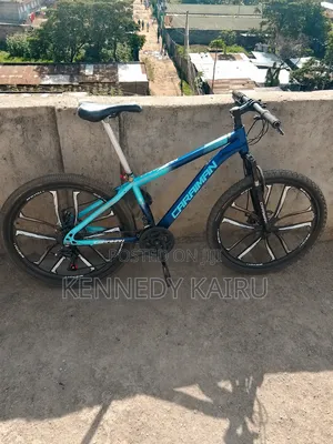 Bicycle Size 26