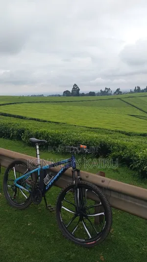 Bicycle Size 26