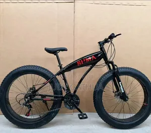 Fat Bike Best for Ride