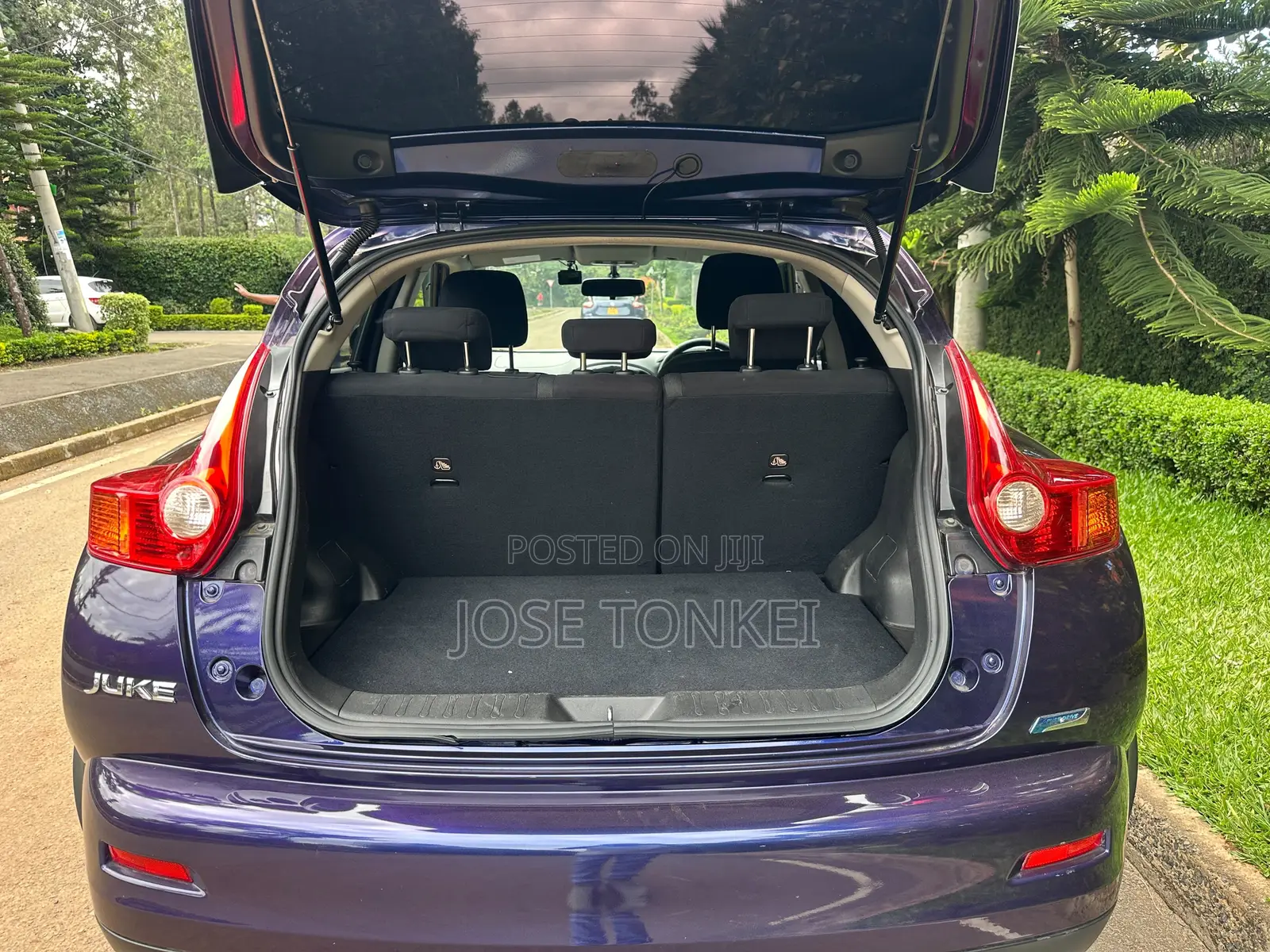 Nissan Juke 2014