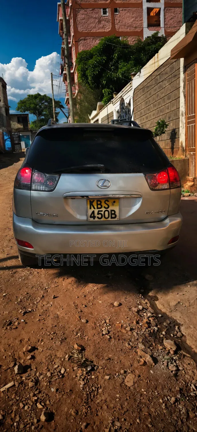 Lexus RX 300 4WD 2004 Silver