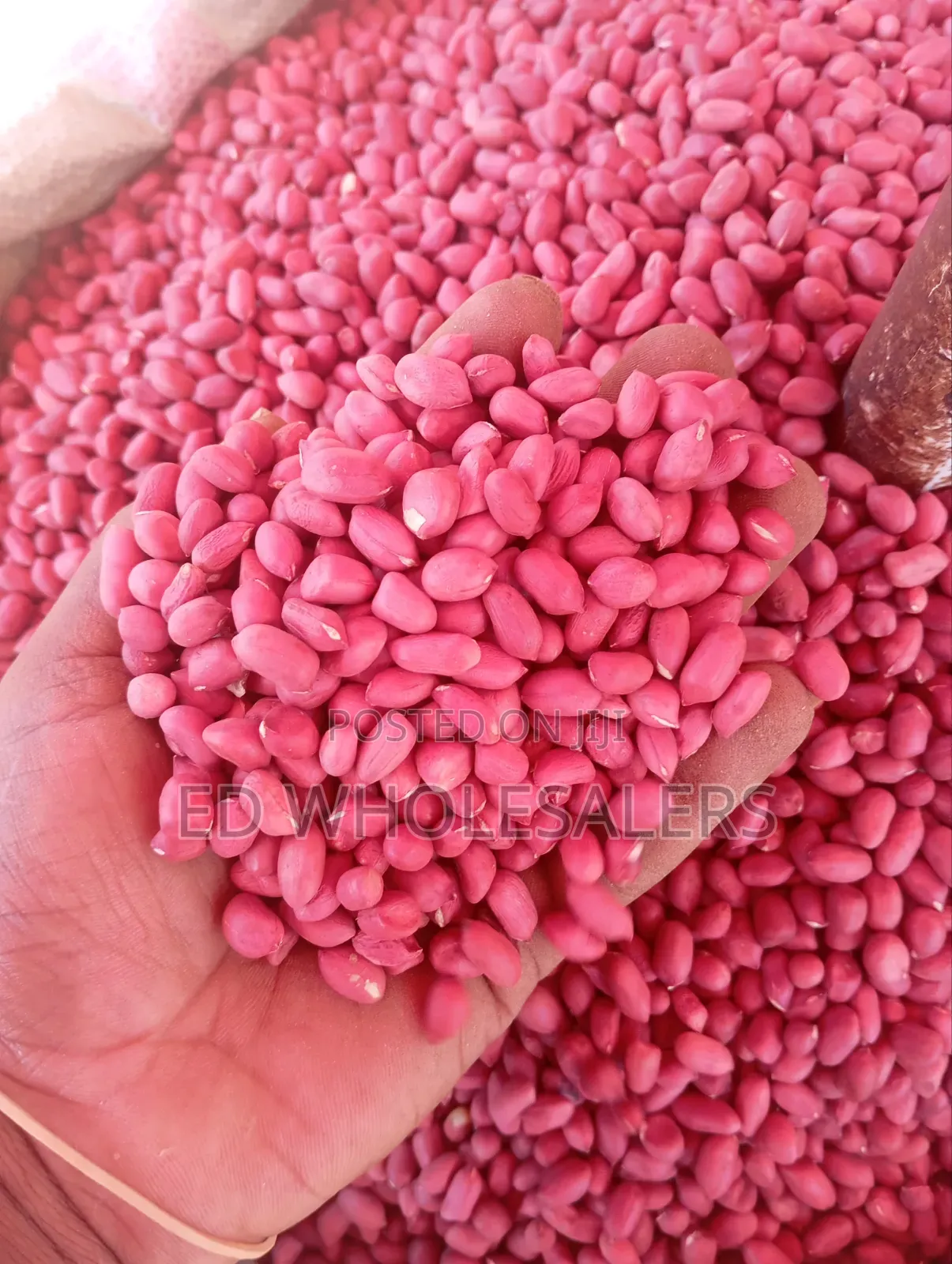 High-Quality Red Groundnuts (Njugu Karanga) – Clean Sorted