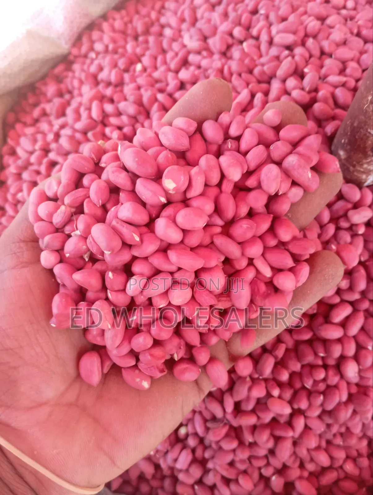 High-Quality Red Groundnuts (Njugu Karanga) – Clean Sorted