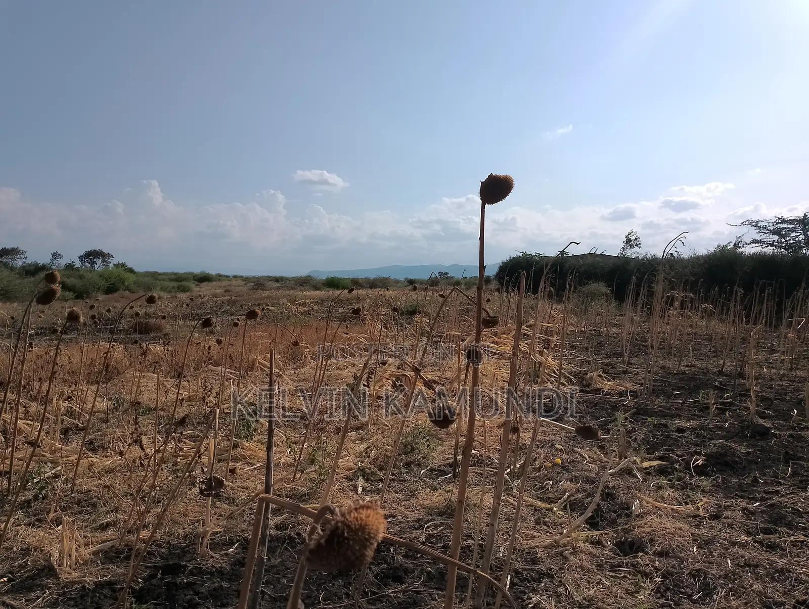 Land for Sale in Meru County - Near Isiolo Airport - Tigania West(Kk)