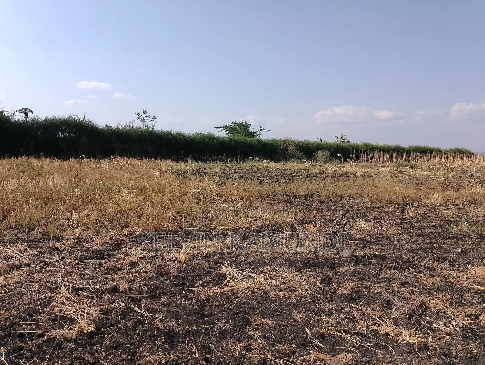 Land for Sale in Meru County - Near Isiolo Airport - Tigania West(Kk)