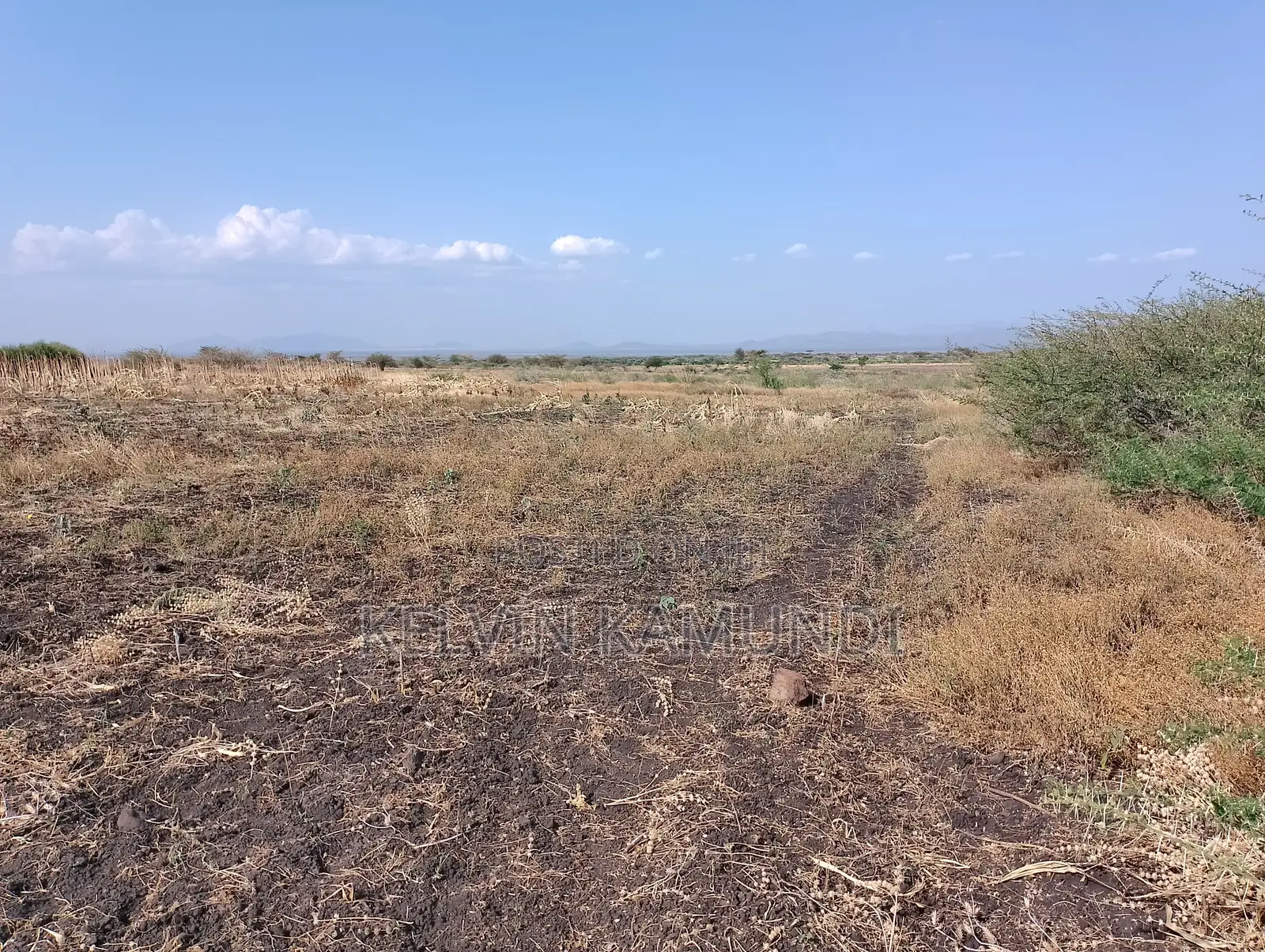 Land for Sale in Meru County - Near Isiolo Airport - Tigania West(Kk)