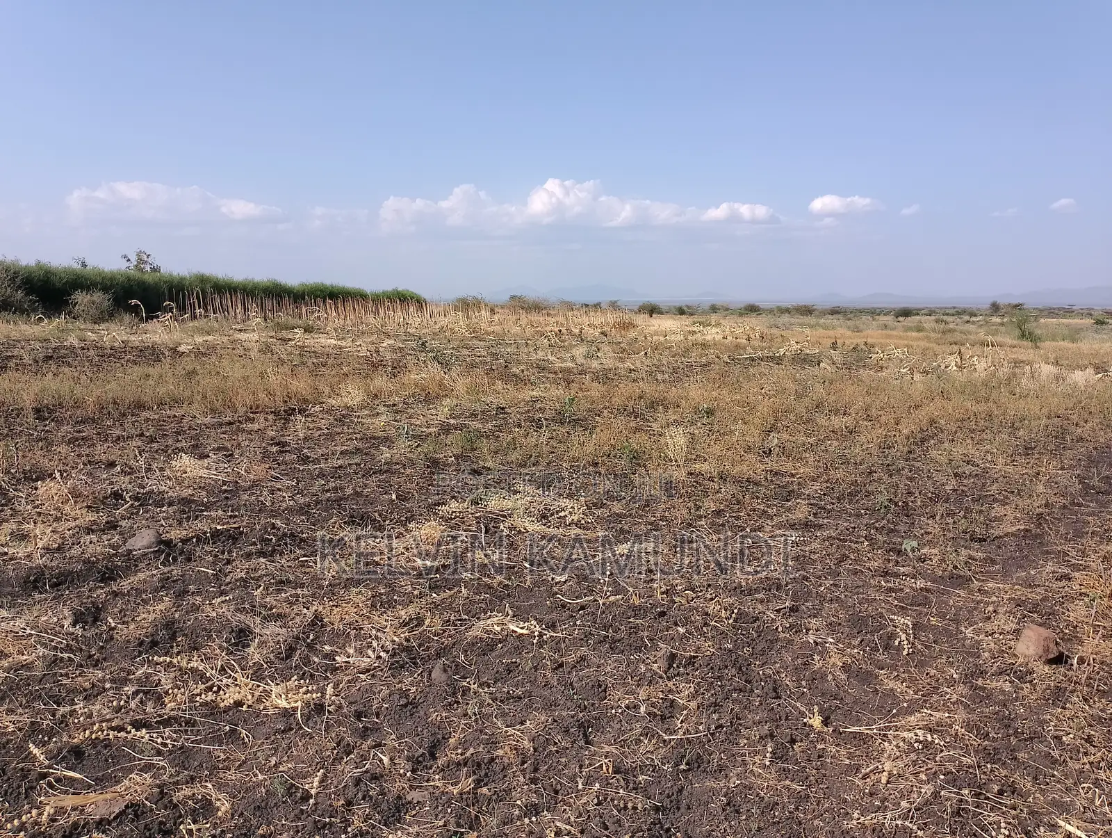Land for Sale in Meru County - Near Isiolo Airport - Tigania West(Kk)