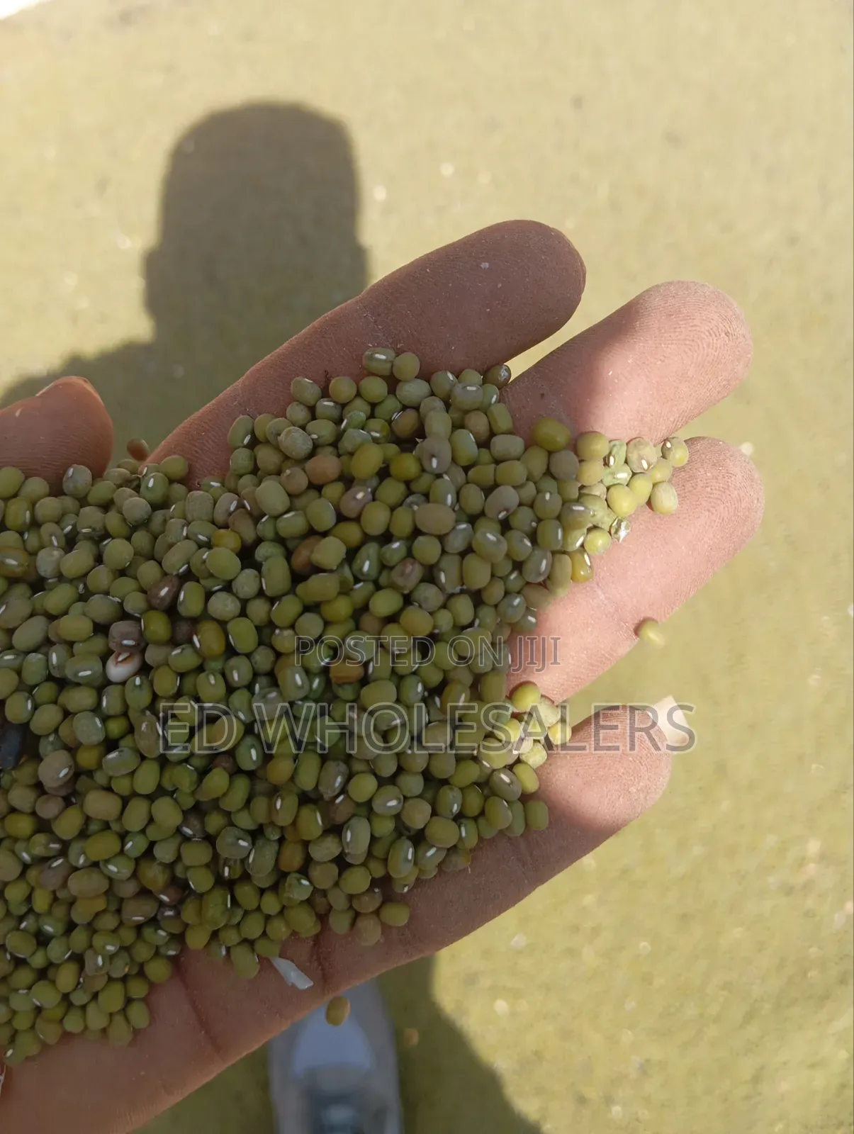 Premium Quality Ndengu (Green Grams)