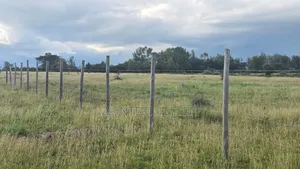 Kitengela Gardens
