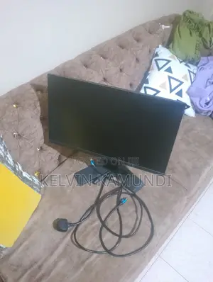 Dell Monitor - 24 Inch