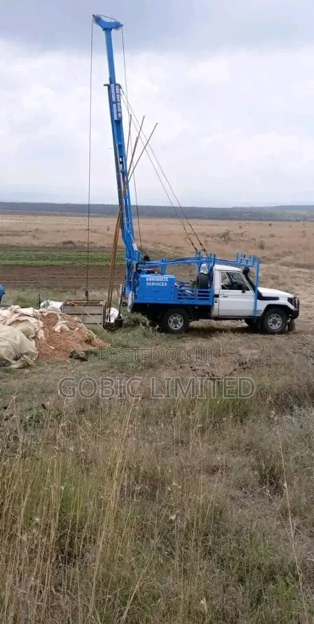 Borehole Pump Lifters and Lowering