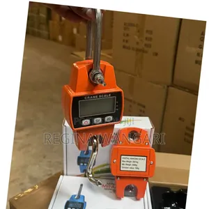 Digital Crane Scale 300kg at 2100