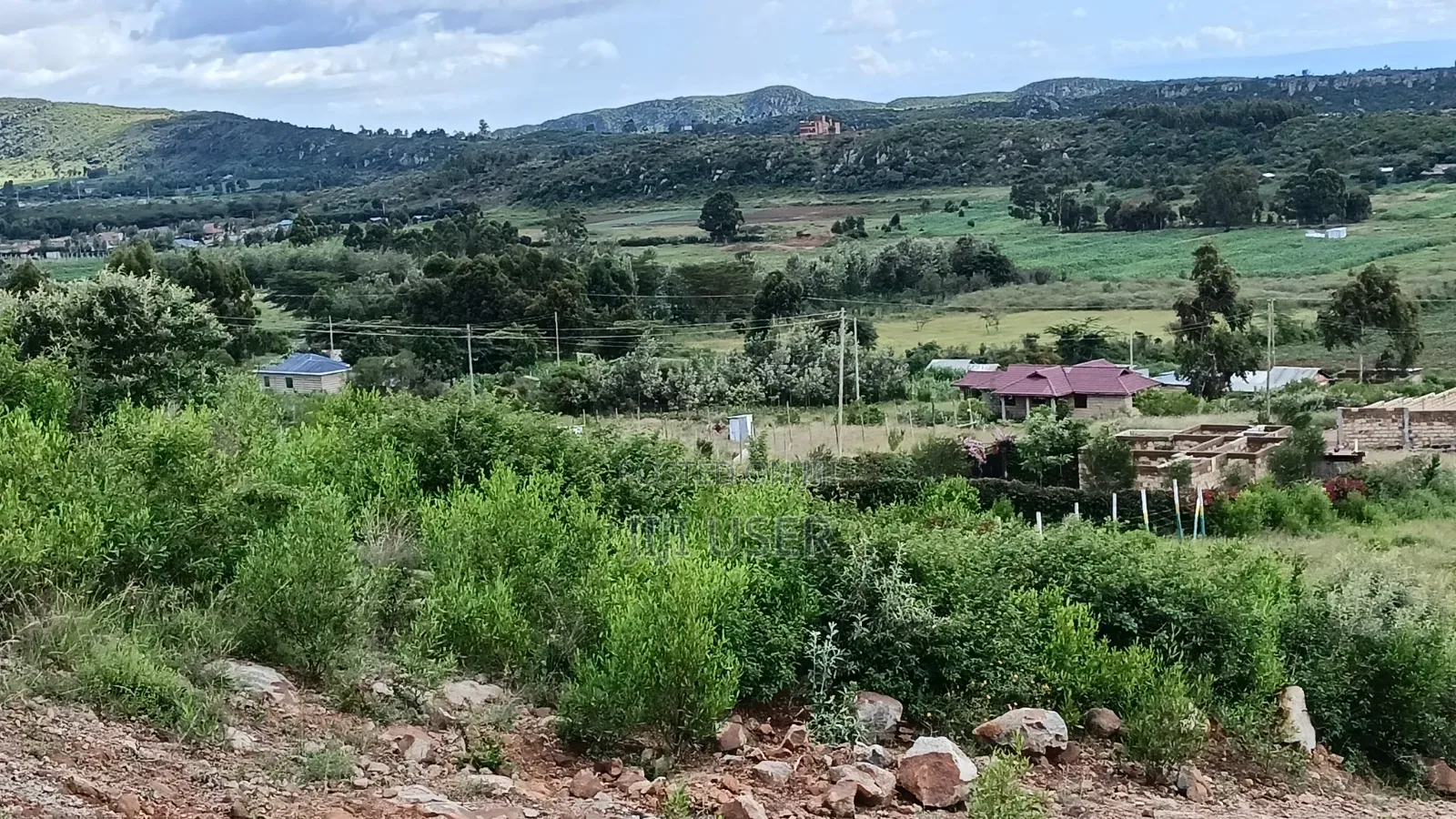 Prime Plots: Kikuyu, Kamangu