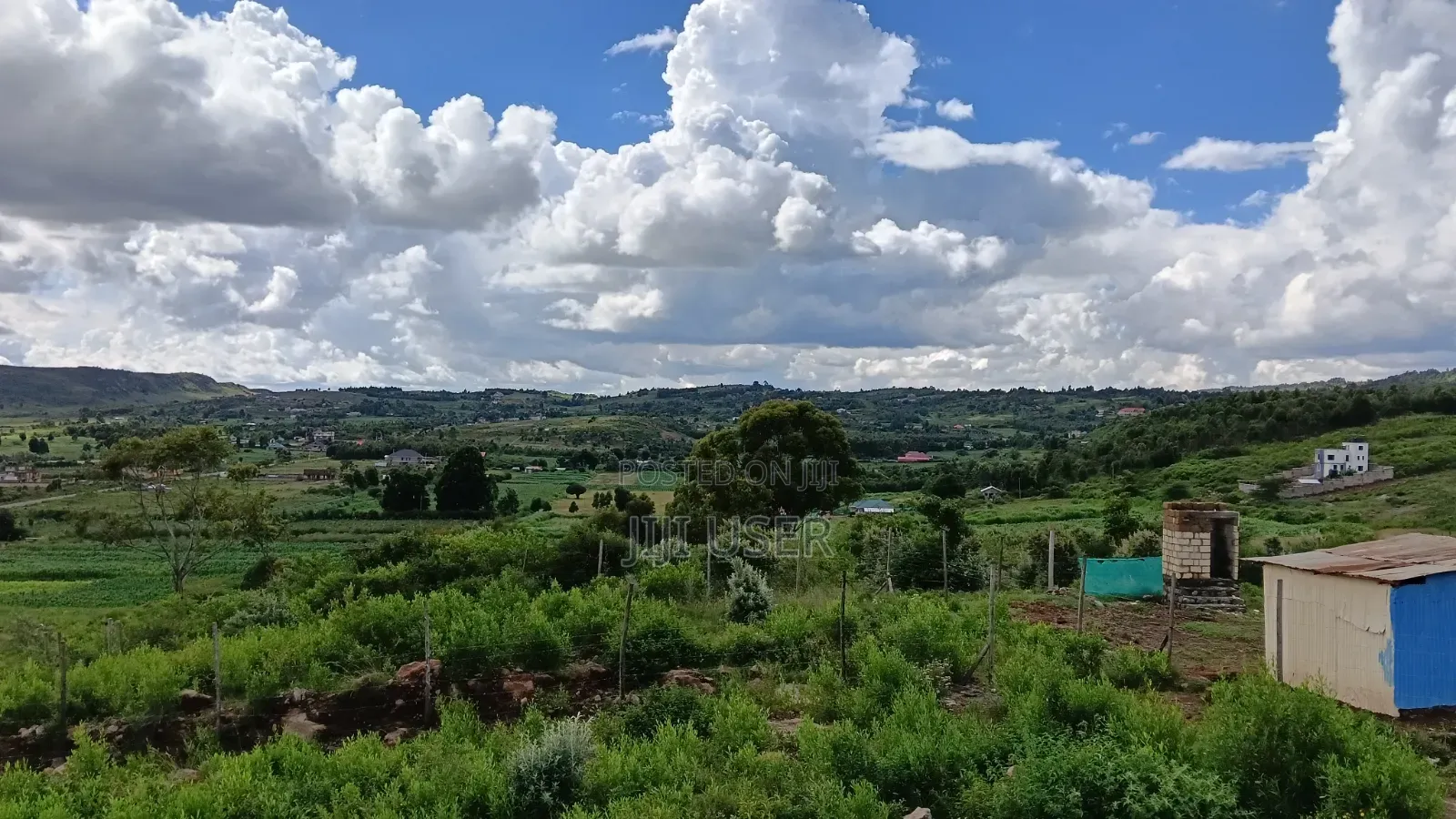 Prime Plots: Kikuyu, Kamangu