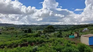 Prime Plots: Kikuyu, Kamangu