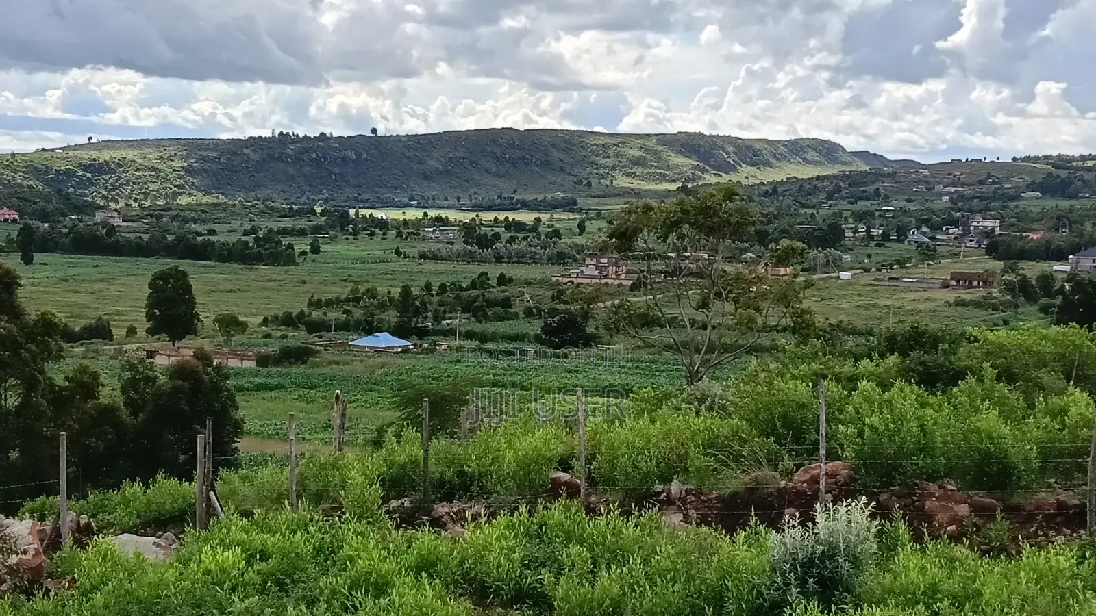 Prime Plots: Kikuyu, Kamangu