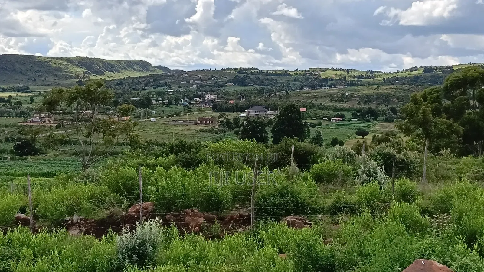 Prime Plots: Kikuyu, Kamangu