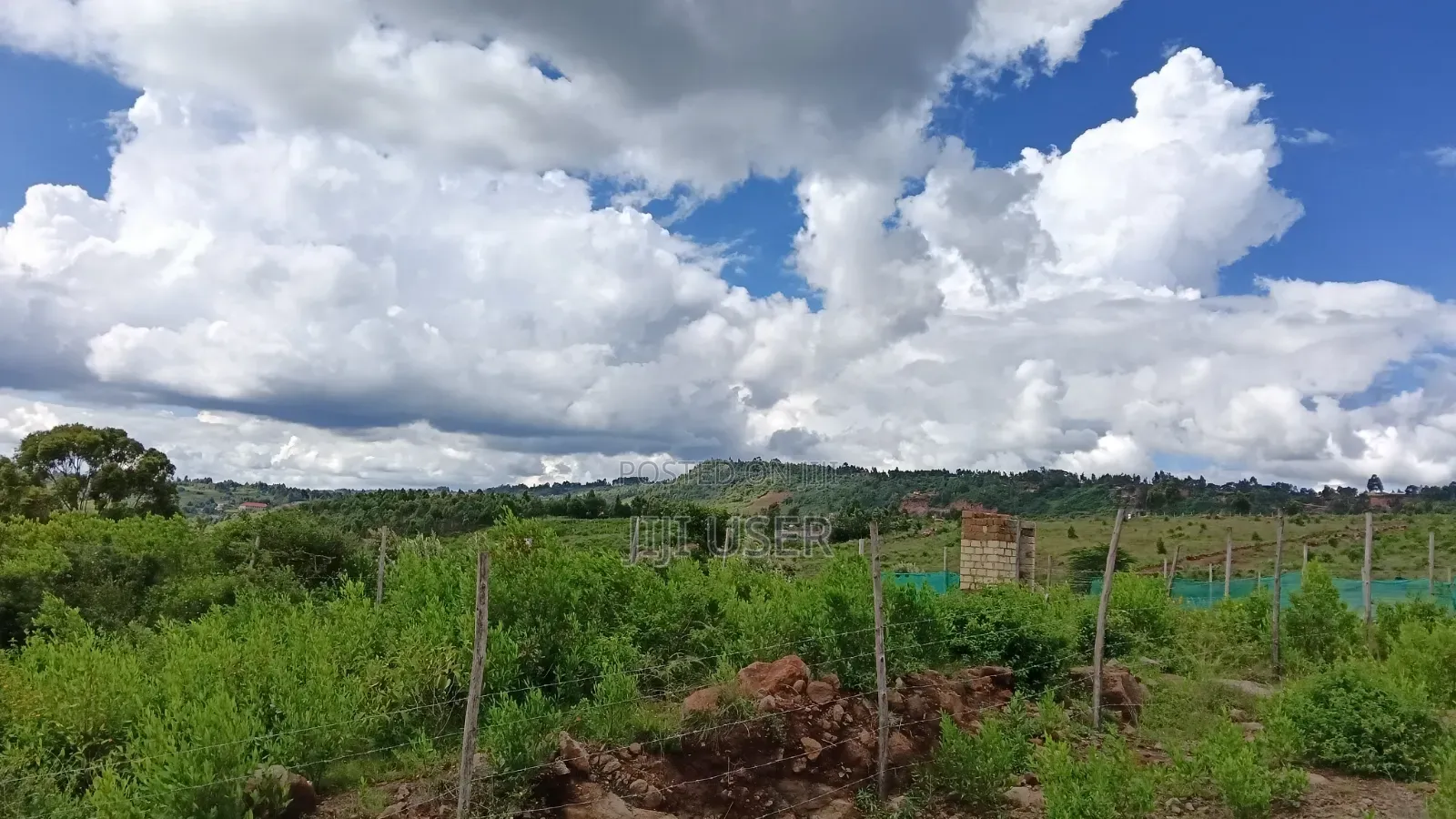 Prime Plots: Kikuyu, Kamangu
