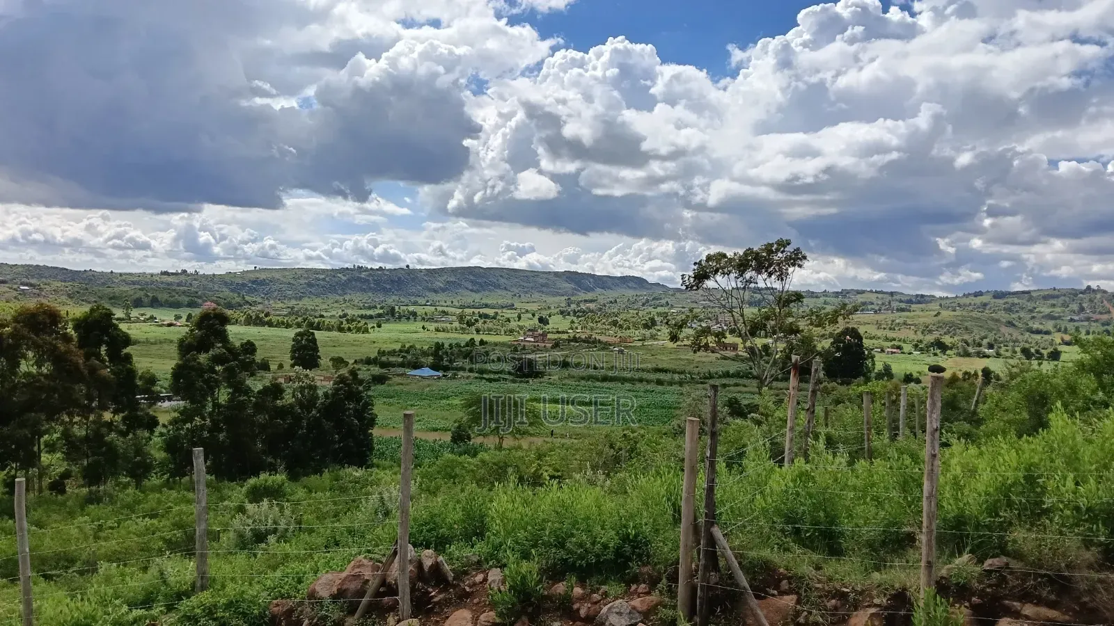 Prime Plots: Kikuyu, Kamangu