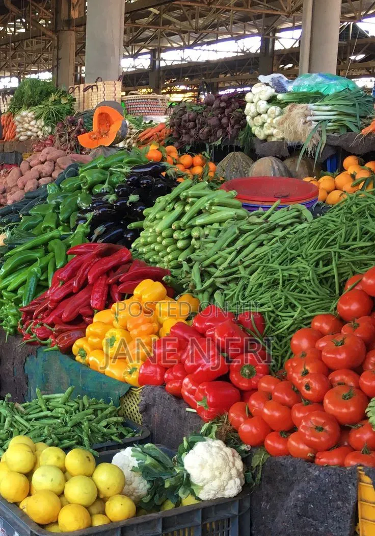 Grocery Basket