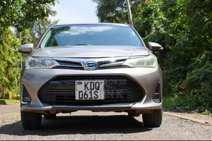 Toyota Axio 2017 Gold