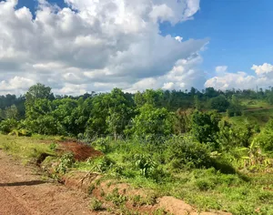 9 Acres Kiborojo, Lower Subukia