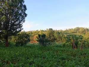 9 Acres Kiborojo, Lower Subukia