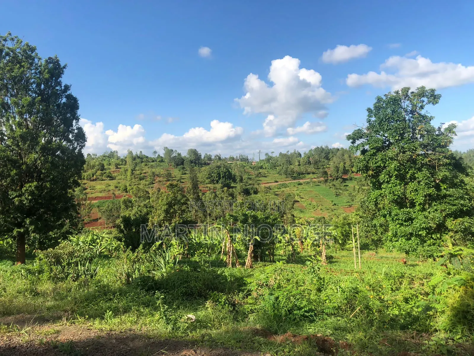 9 Acres Kiborojo, Lower Subukia