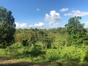 9 Acres Kiborojo, Lower Subukia